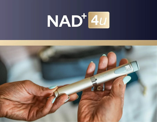 NAD+ Your Secret Holiday Season Companion