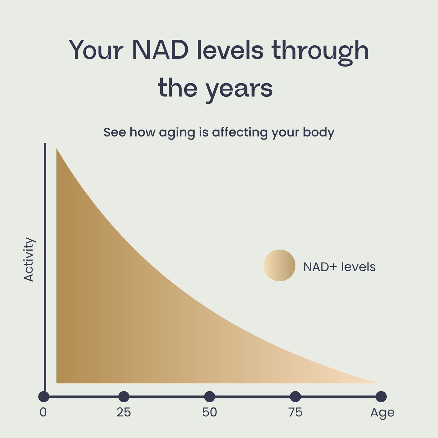 IV League x NAD+ 4u Pen Starter Kit (1000mg)
